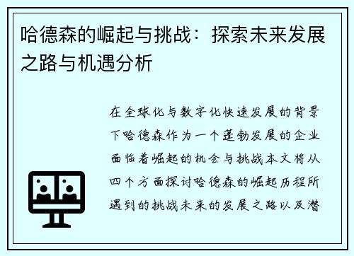 哈德森的崛起与挑战：探索未来发展之路与机遇分析